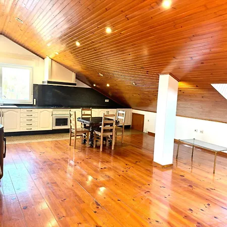 Apartment Milucha